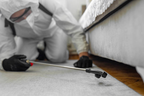 Professional Bed Bug Control technician working in Wolcottville, IN