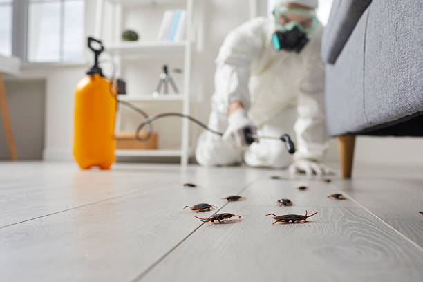 Trusted Cockroach Control service in Wolcottville, IN - Nex Pest Control