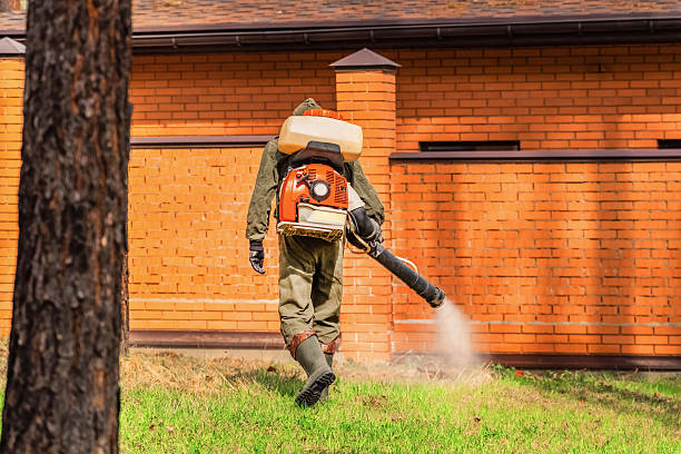 Trusted Mosquito Control service in Wolcottville, IN - Nex Pest Control